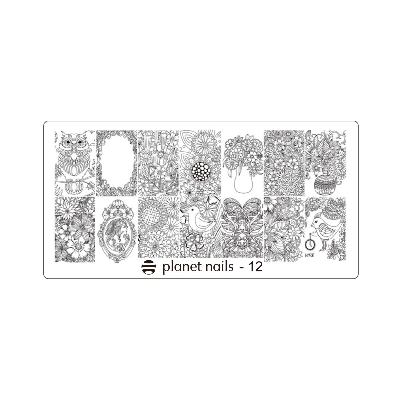картинка Пластина для стемпинга Stamping Nail Art  Planet Nails №12 от магазина Каприз